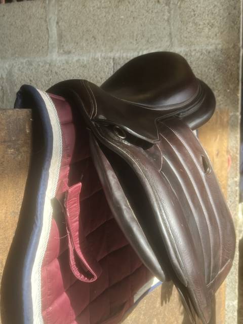 Selle Forestier SEOUL 2023 18&nbsp;pouces 