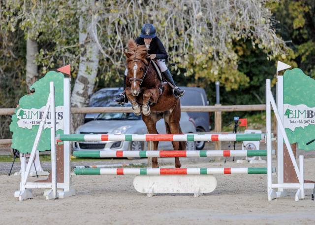 à vendre pfs de 7 ans 