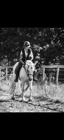 Jument à prendre en dp 33