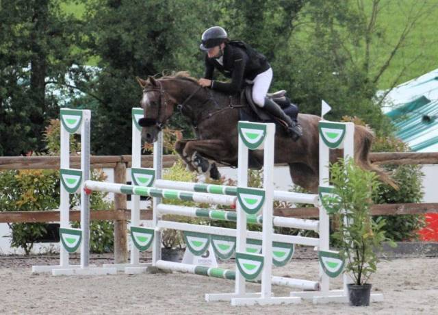 Jument appaloosa de 11 ans