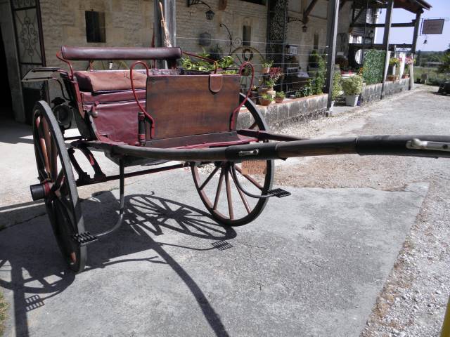 Vend caleche stick bag gig 