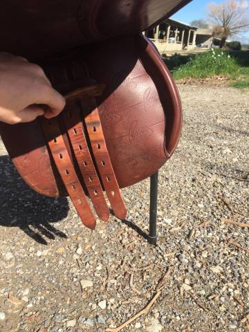 Selle Rodrigo Pessoa 17 pouces