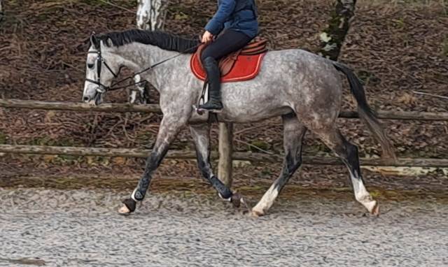 ✨️ top 4 ans✨️ chic, moderne, moyens