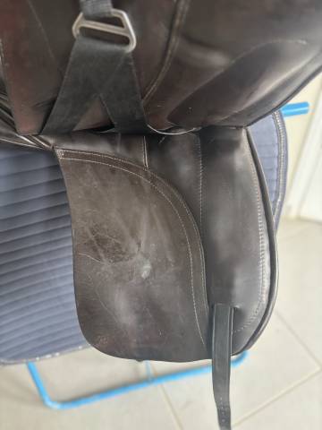 selle de dressage Custom saddlery / Wolfgang and saddle