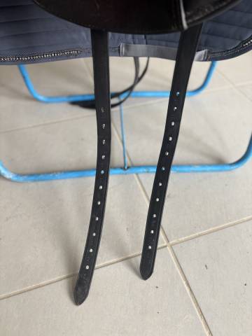 selle de dressage Custom saddlery / Wolfgang and saddle