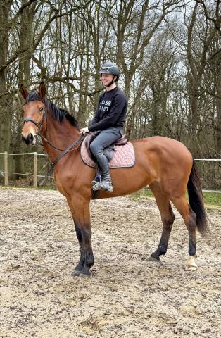 Arrêt d’activité 