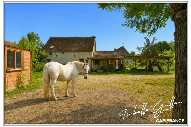 Propriété à vendre : 2 maisons et 4.5 hectares
