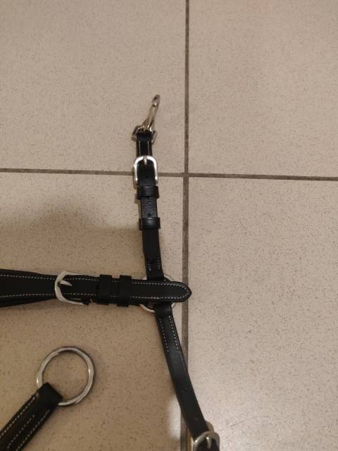 Collier de chasse Deluxe 5 points