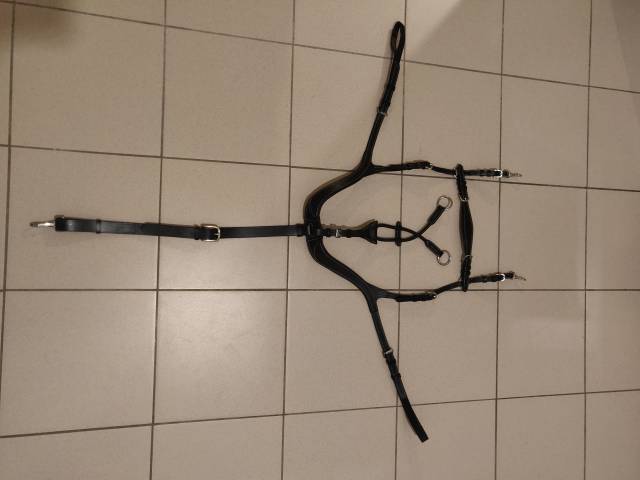 Collier de chasse Deluxe 5 points