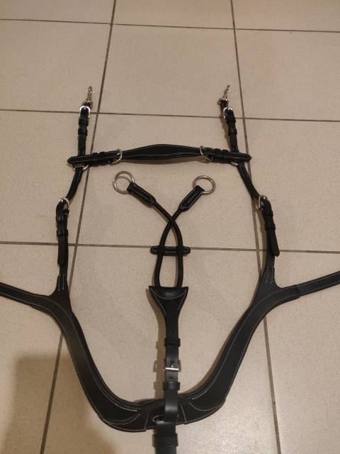 Collier de chasse Deluxe 5 points