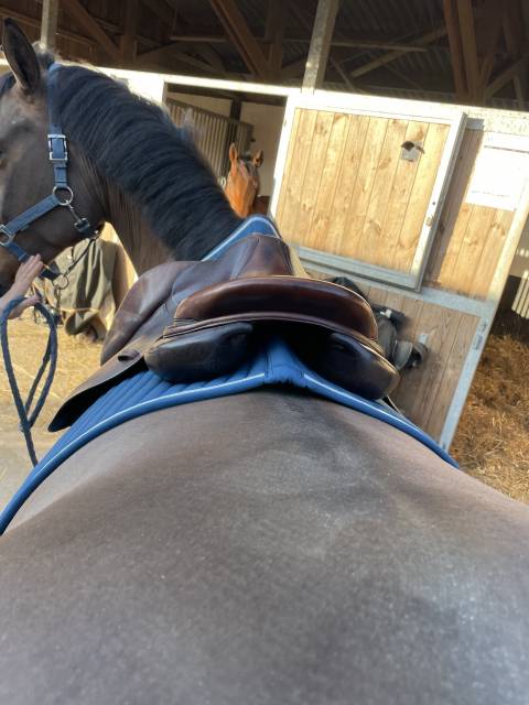 Selle Forestier modele S&eacute;oul 16,5