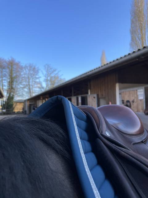 Selle Forestier modele S&eacute;oul 16,5