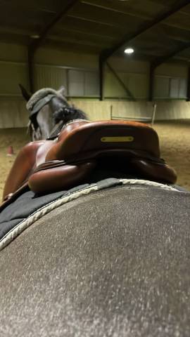 Selle CWD marron   taille : 17,5