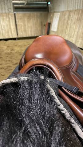 Selle CWD marron   taille : 17,5