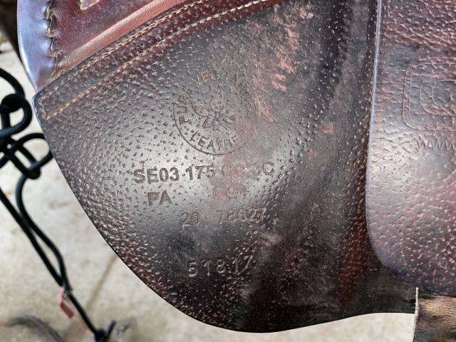 Selle CWD marron   taille : 17,5