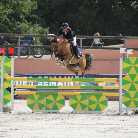 Good boy d’yl, hongre pfs 146cm