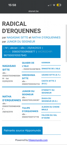 Poulain 3 an junior du seigneur x nagasaki sitte 