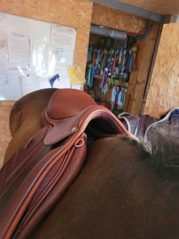 Selle renaissance cso 18" tbe 2023