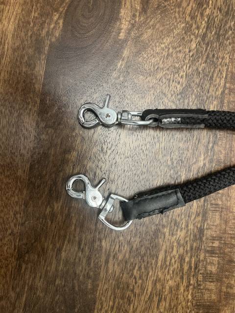 R&ecirc;nes de licol &eacute;thologique Norton