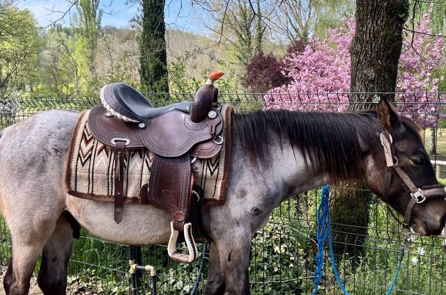 Selle de barrel POOL&rsquo;S 5020