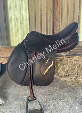 Selle Antarès Connexion 17