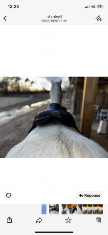 Selle Gaston.M mod&egrave;le severac