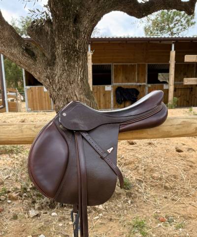 Selle synergy 17”5  equipe 