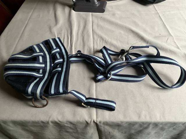 Panier museli&egrave;re cheval 