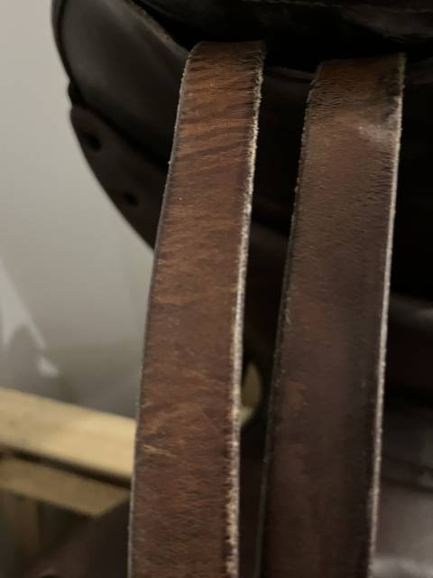 Selle forestier Ilium - Mono quartier - 2017