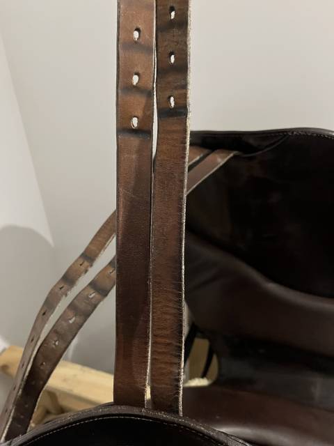 Selle forestier Ilium - Mono quartier - 2017