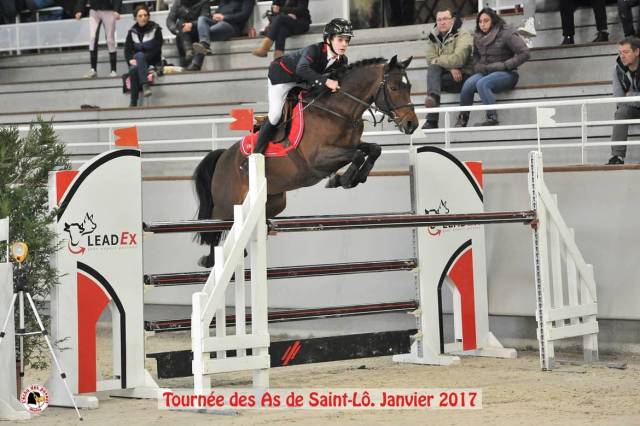 Vaguely noble haryns : saillie pfs grand prix excellence vaguely noble haryns