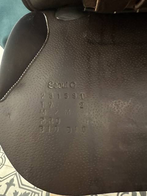 Selle d&rsquo;obstacle forestier taille 17, septembre 2023