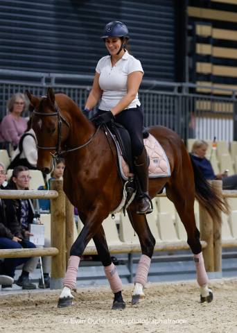 étalon akhal-teké origines prestigieuses 