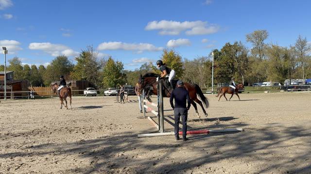 Jument - sf - cso/cce 