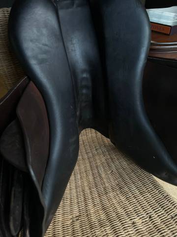 SELLE FORESTIER MODELE SEOUL 17 POUCES