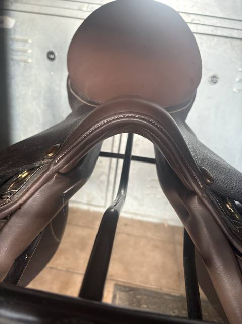 Selle mixte &Eacute;ric Thomas 