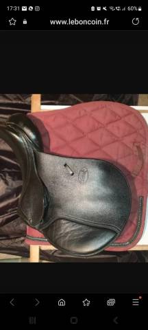 Selle CHETAK noire mixte 