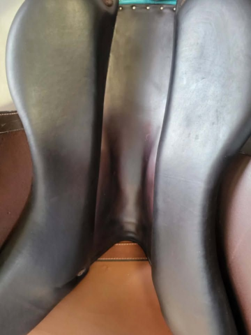 Selle forestier seoul