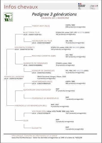 A vendre hongre 6 ans pour cso, cce ou hunter