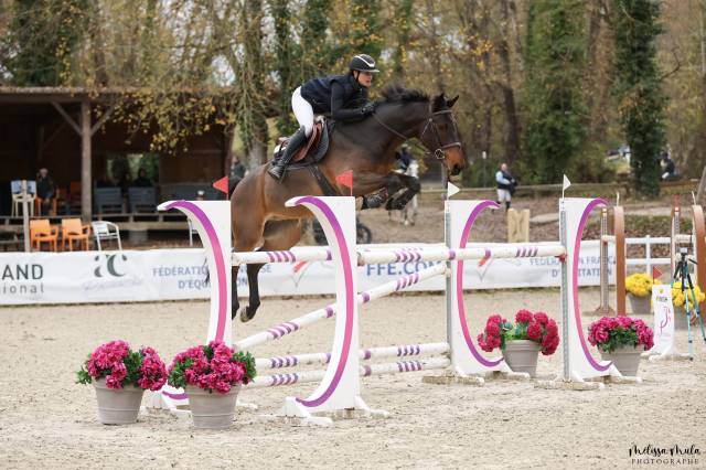 Hongre de 8 ans par cornet obolensky x ukato