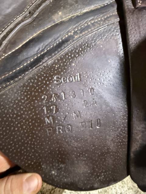 Selle forestier séoul 17 2024