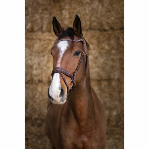 Bridon Norton Pro Miss marron