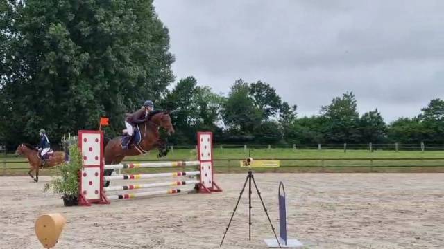 Jument de 7 ans cso – bonnes origines – pour cavalier c