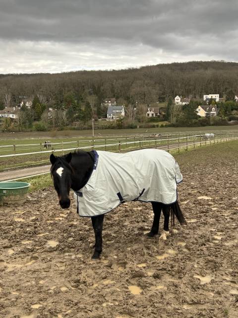 BUCAS -Power turnout Light 155 big neck +padd de garrot