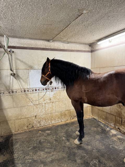 Pre entier de 18 ans 