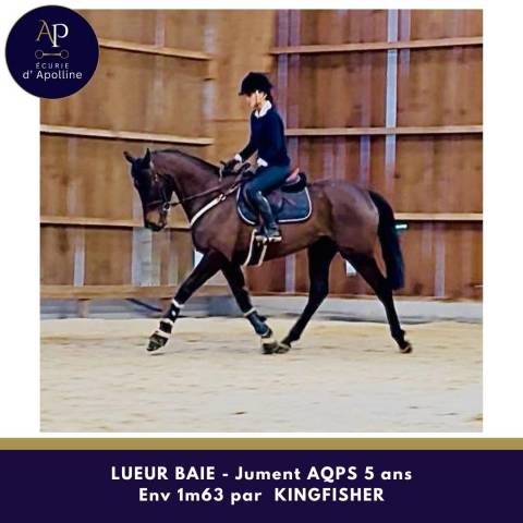 Aqps 5 ans bon équilibre top mental