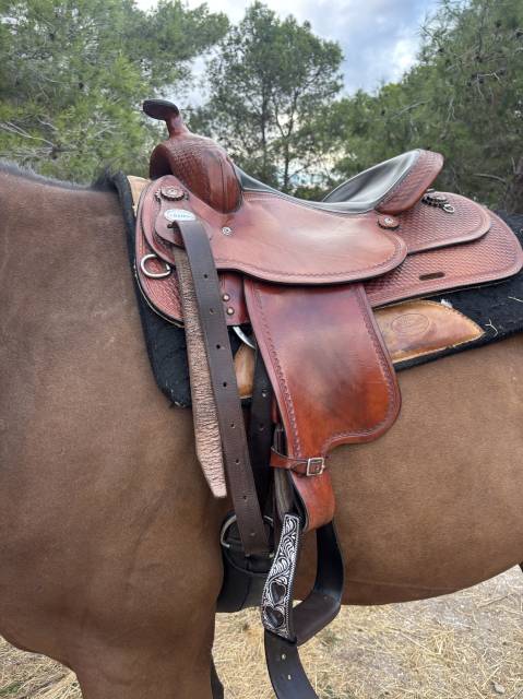 Selle reining crates