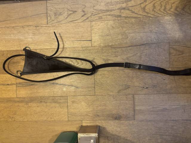 Martingale fixe pleine