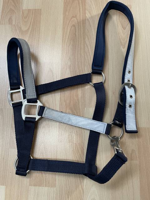 Licol r&eacute;fl&eacute;chissant