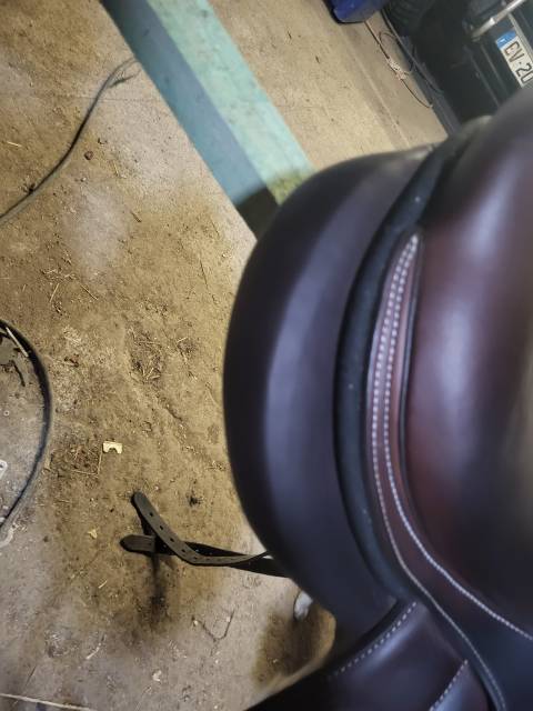 Selle forestier Boekelo 